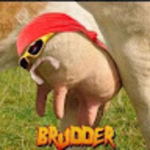 Meet your Posher, Kaylin